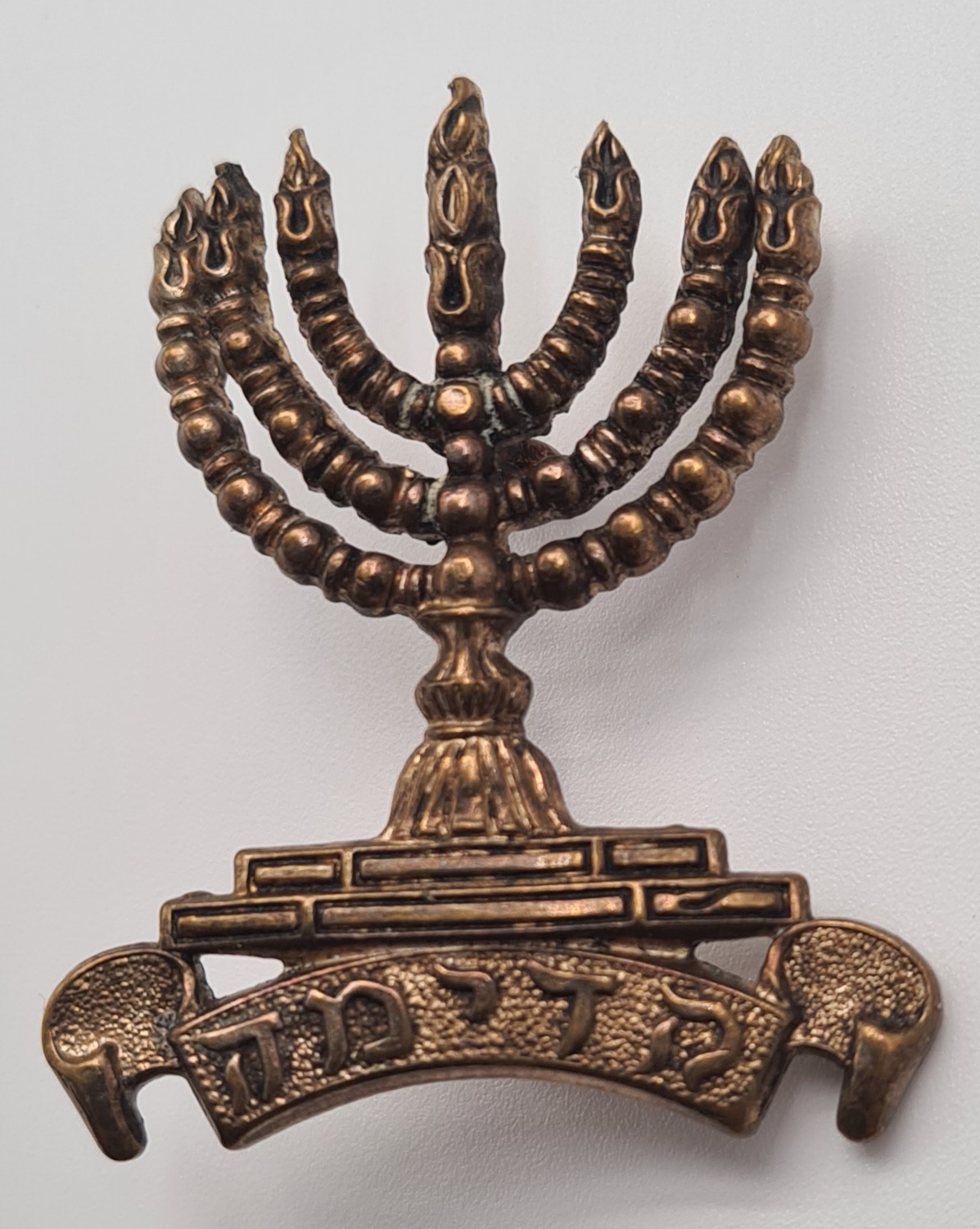 הגדוד העברי _הראשון ליהודה_